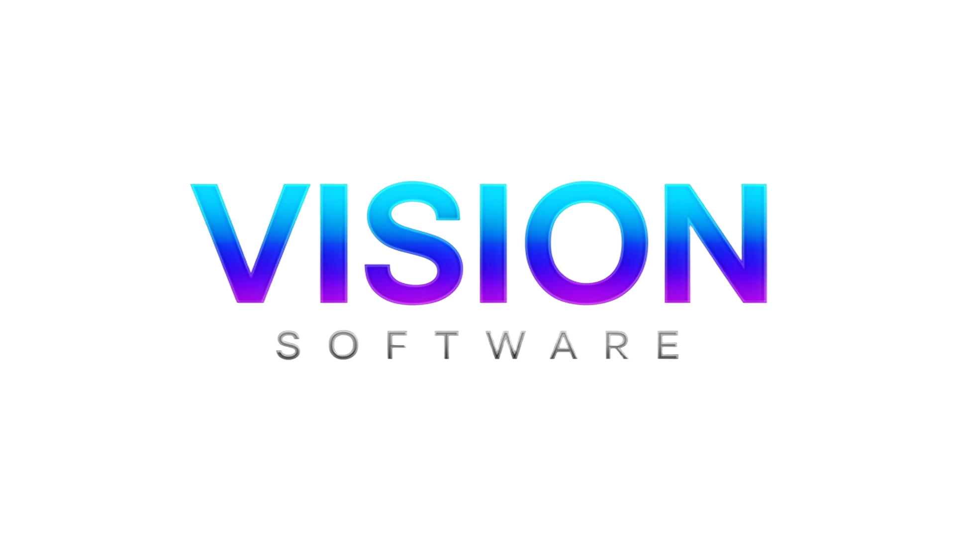Vision Software | Software Built for Human Elevation